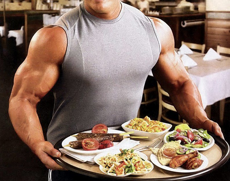 Nutrición muscular